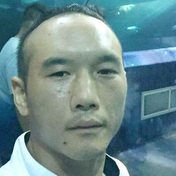 独寂打青衫的照片