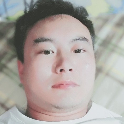 A树叶的照片