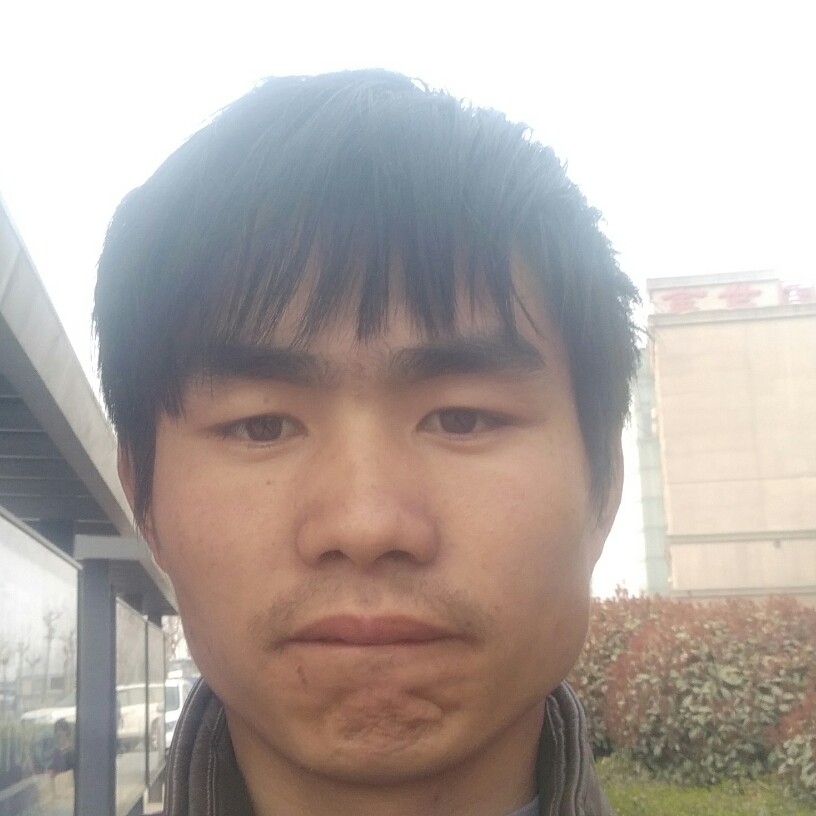 树叶烂漫的照片