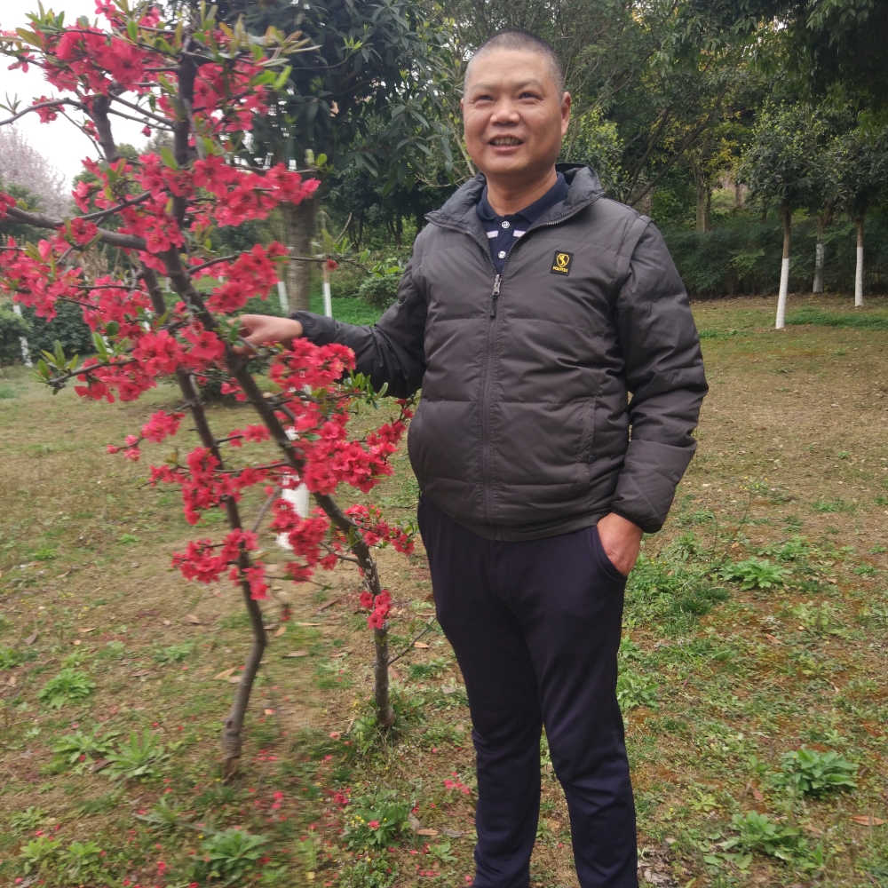 饱满有锦瑟的照片