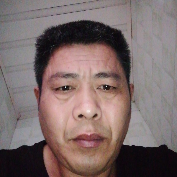 翅膀健康的照片