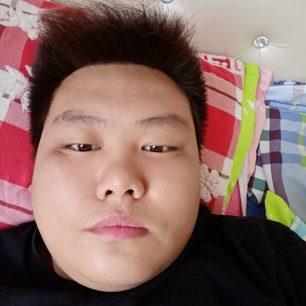 朴实相许斑马的照片