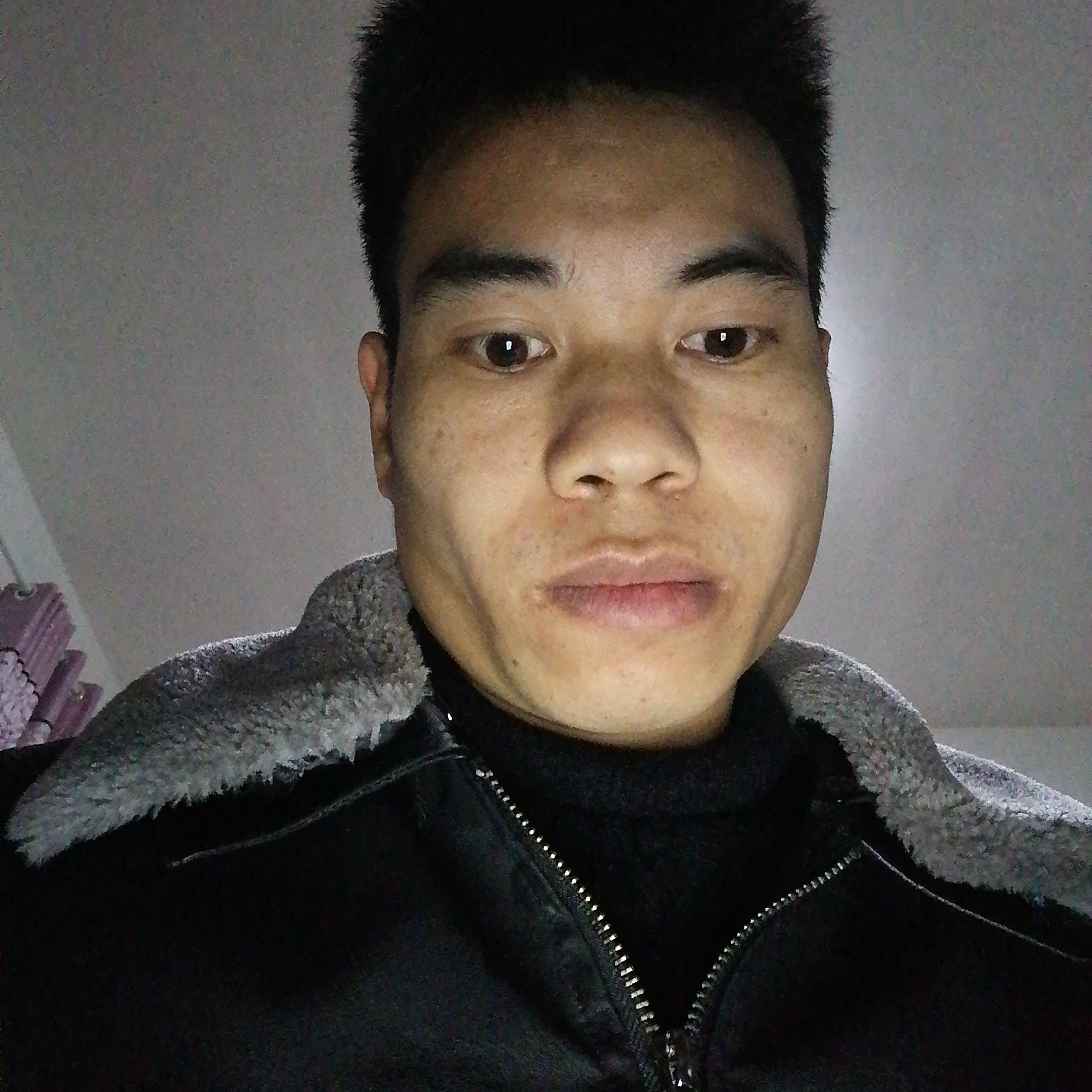 离歌的傻傻的照片