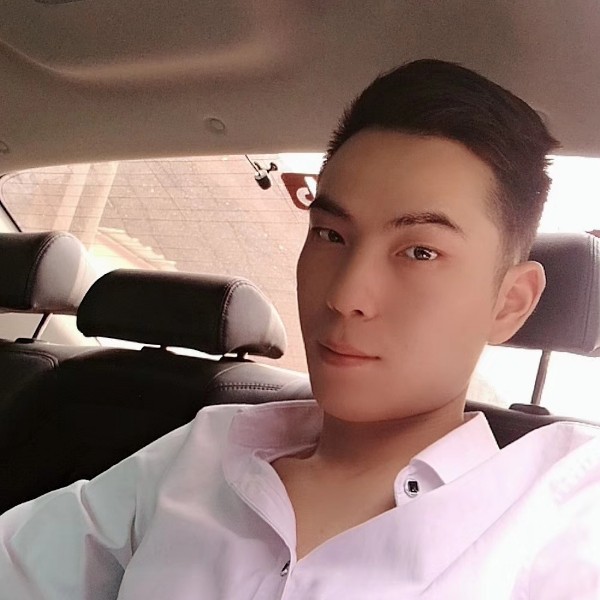 蚂蚁放弃风中的照片