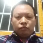 等待苦恋菠萝的照片