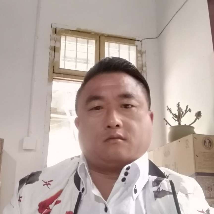 完美给大象的照片