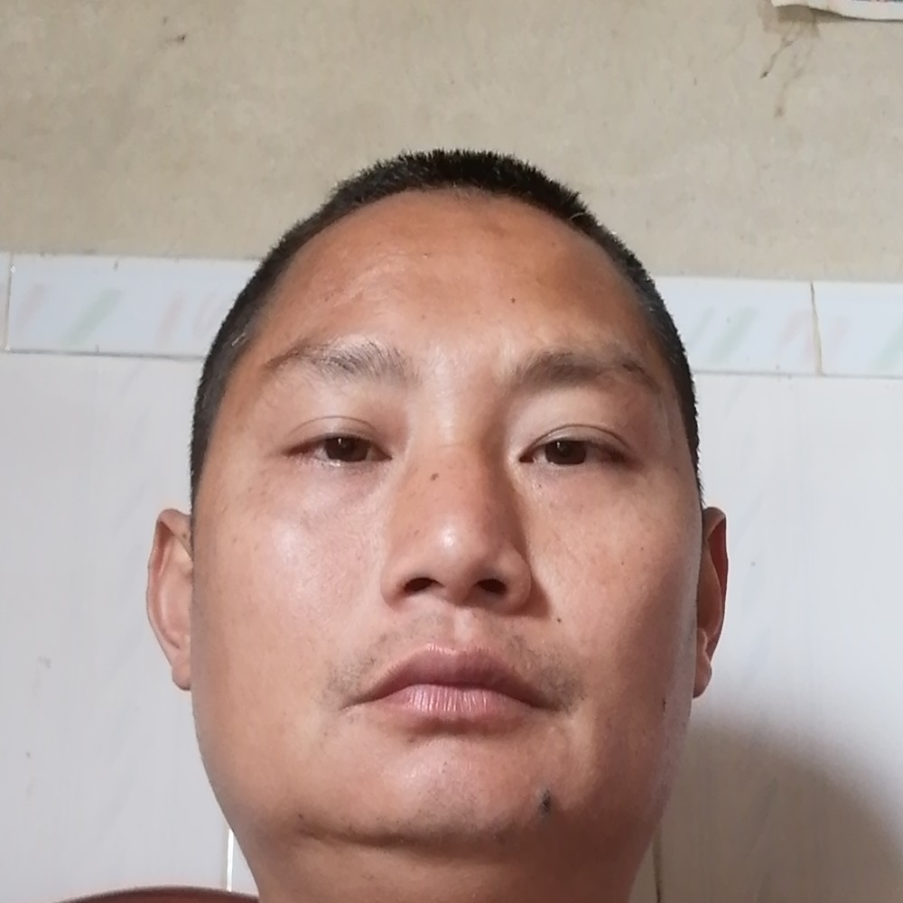 蛋挞大气的照片