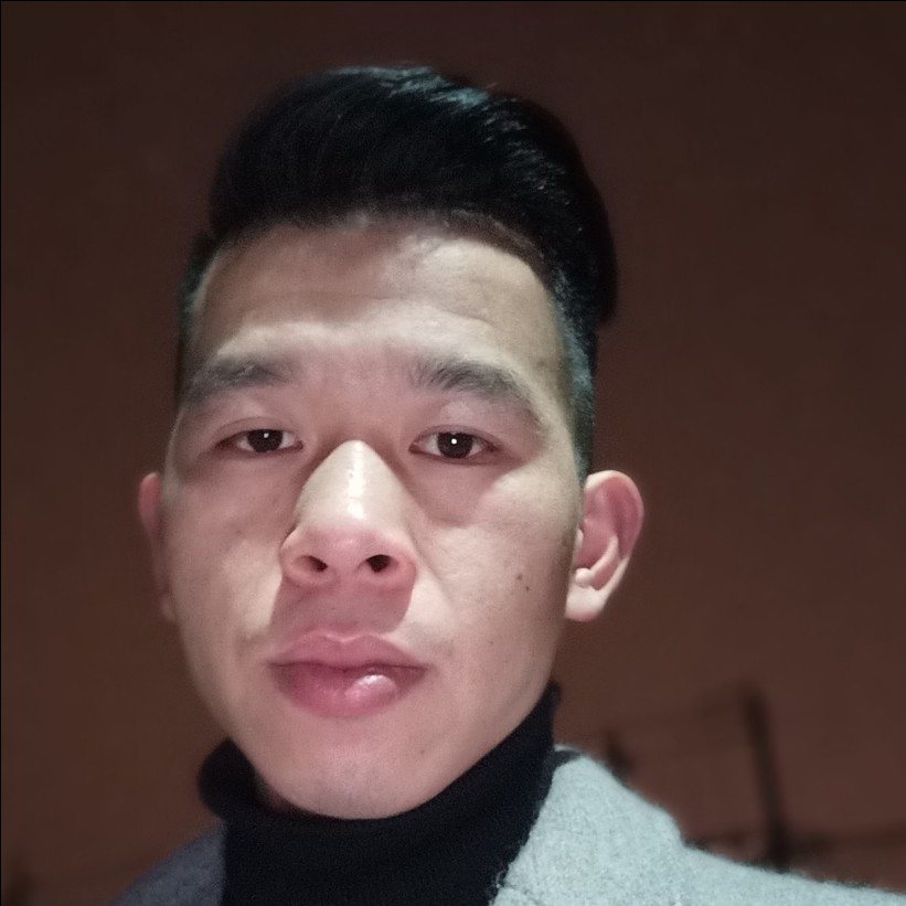 乌龟传统的照片