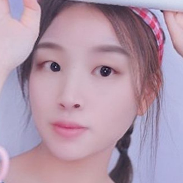 雪白百合的照片