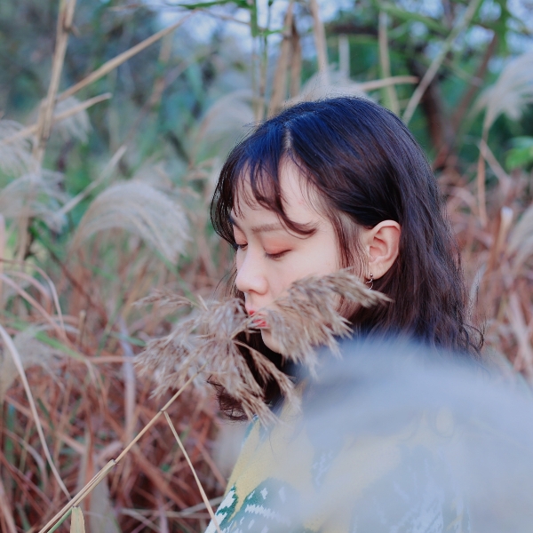 勤劳山岚的照片