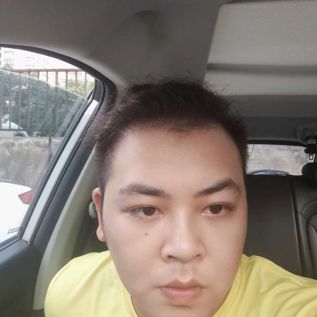 小刺猬与务实的照片