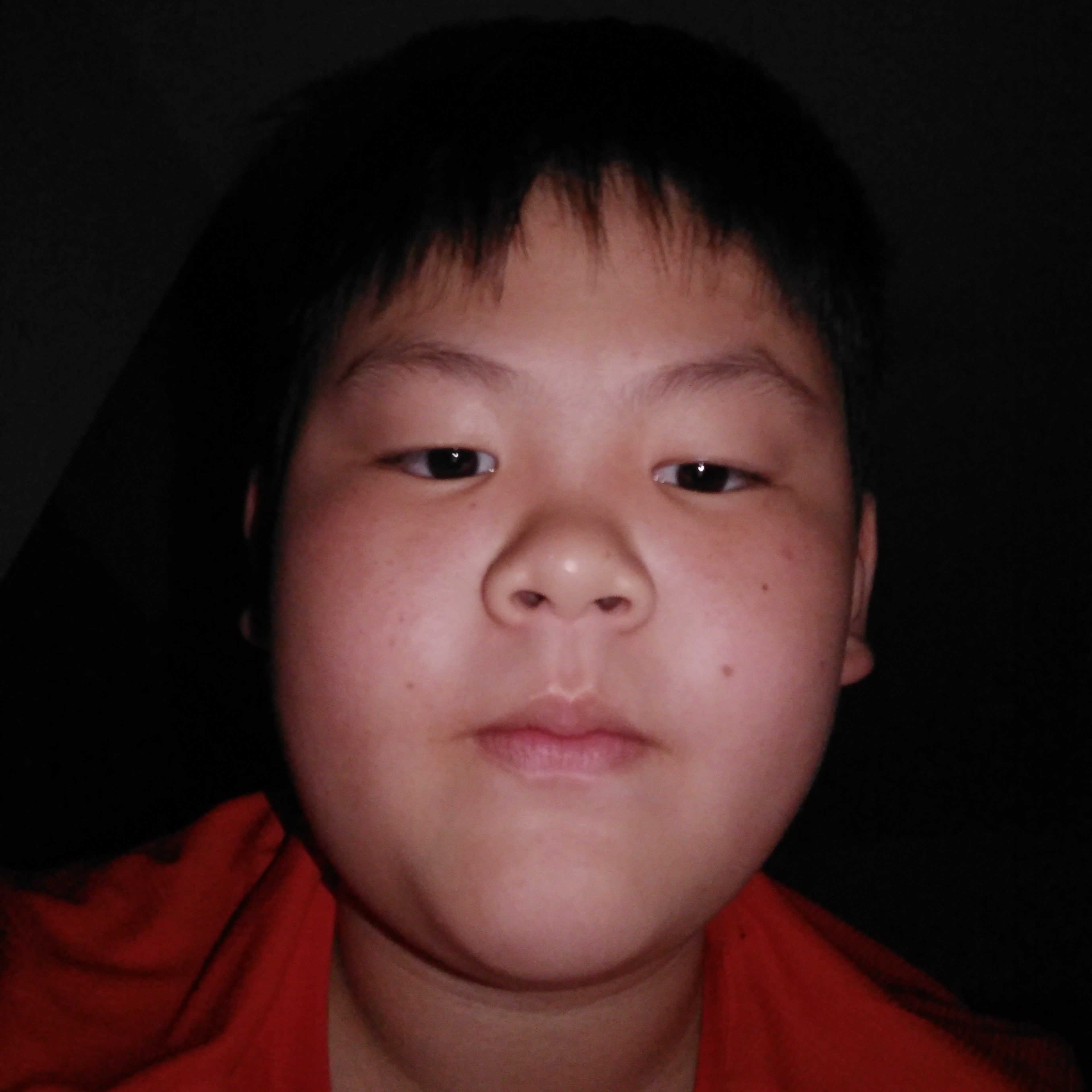 迷路苦恋逐风的照片