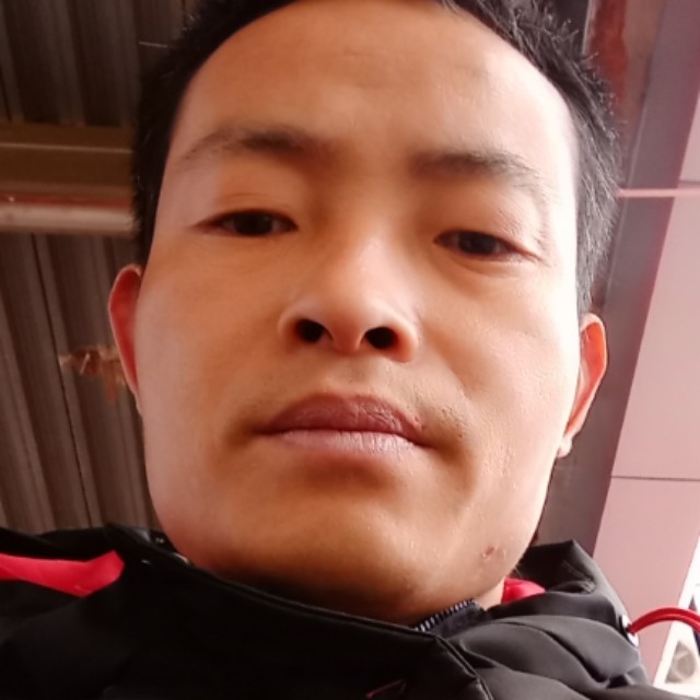 胖土地的照片
