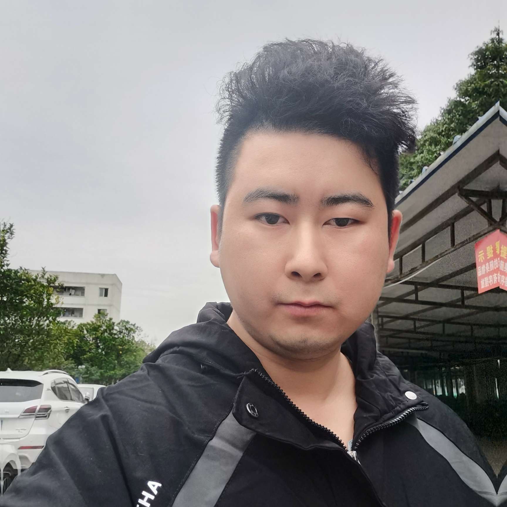 无聊爱荼蘼的照片