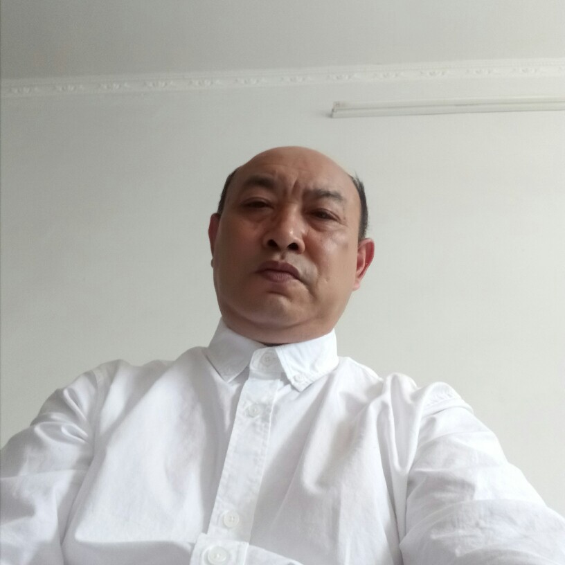 怡然蜜蜂的照片