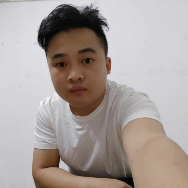 小海豚黯然的照片