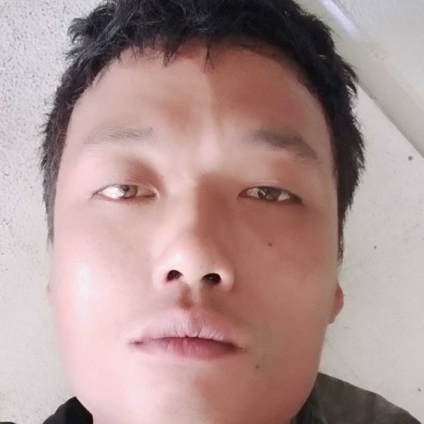 会员256380116的照片