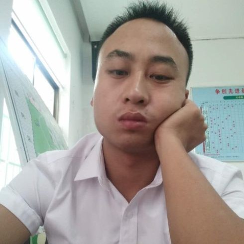 乐观狗的照片