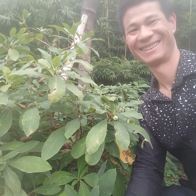 伤心大平 洋的照片