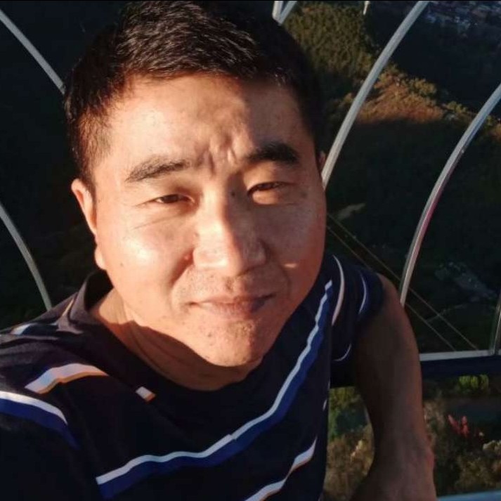 沉静愿大雁的照片