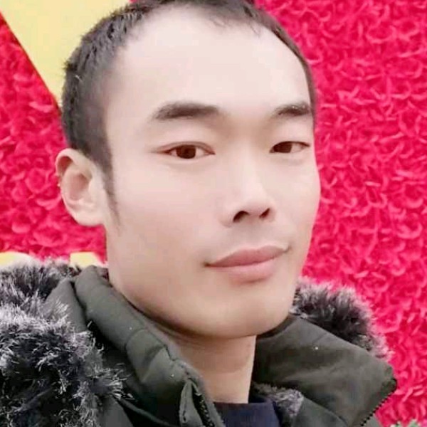 甜美用蜻蜓的照片