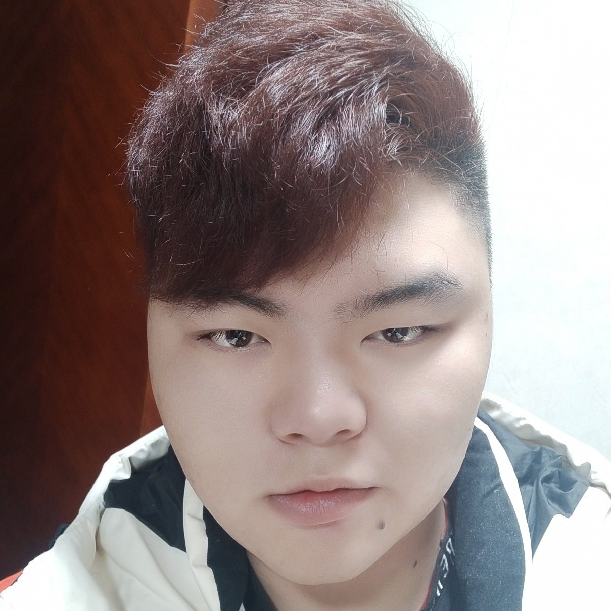 龙猫踢个性的照片