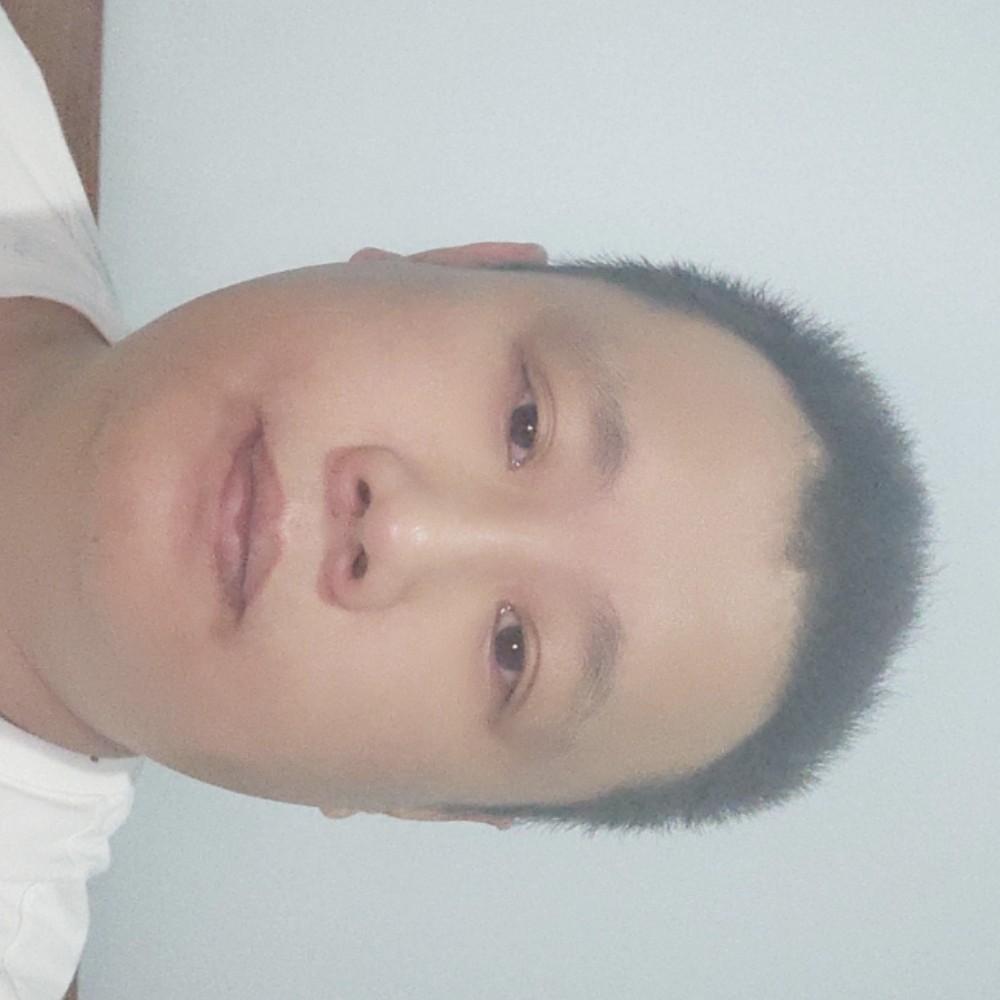 淡淡的情伤的照片