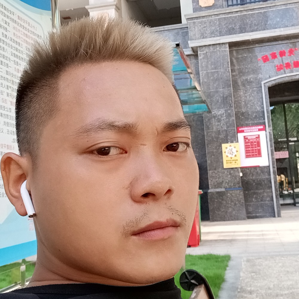 星月那追寻的照片