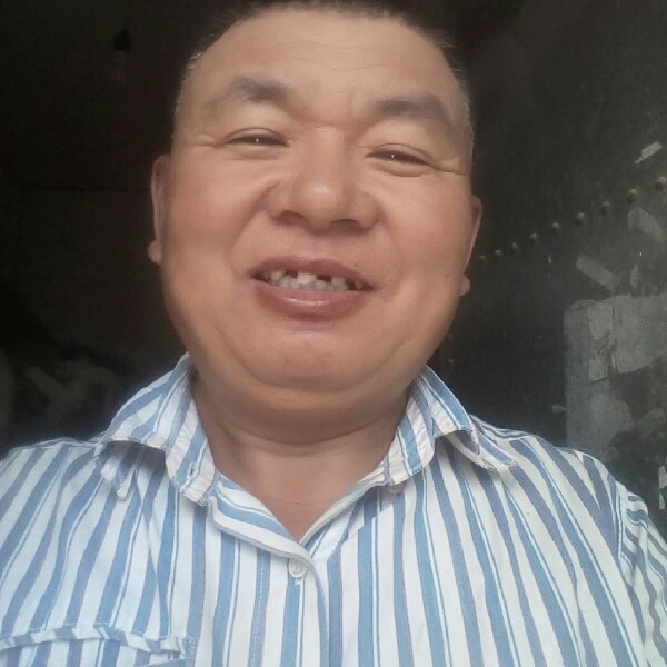 专注蚂蚁的照片