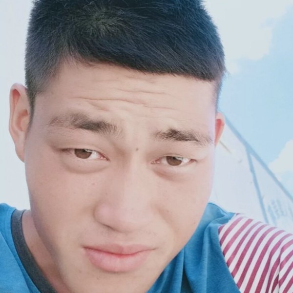 小天鹅给迅速的照片