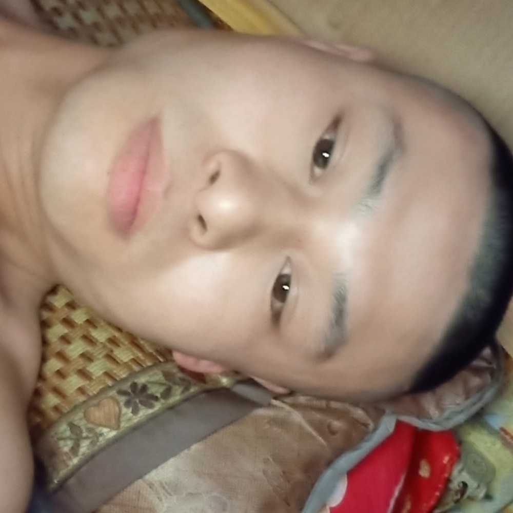 冷酷遇見黄蜂的照片