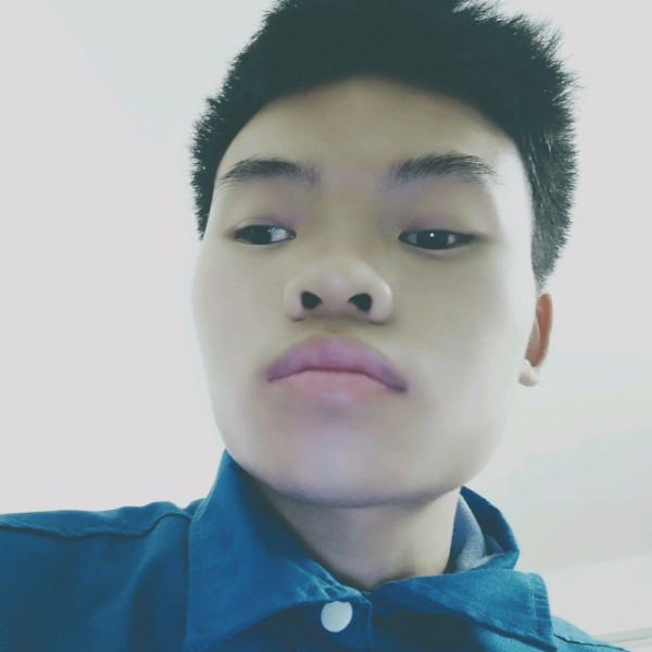 愿为你无怨无悔的照片