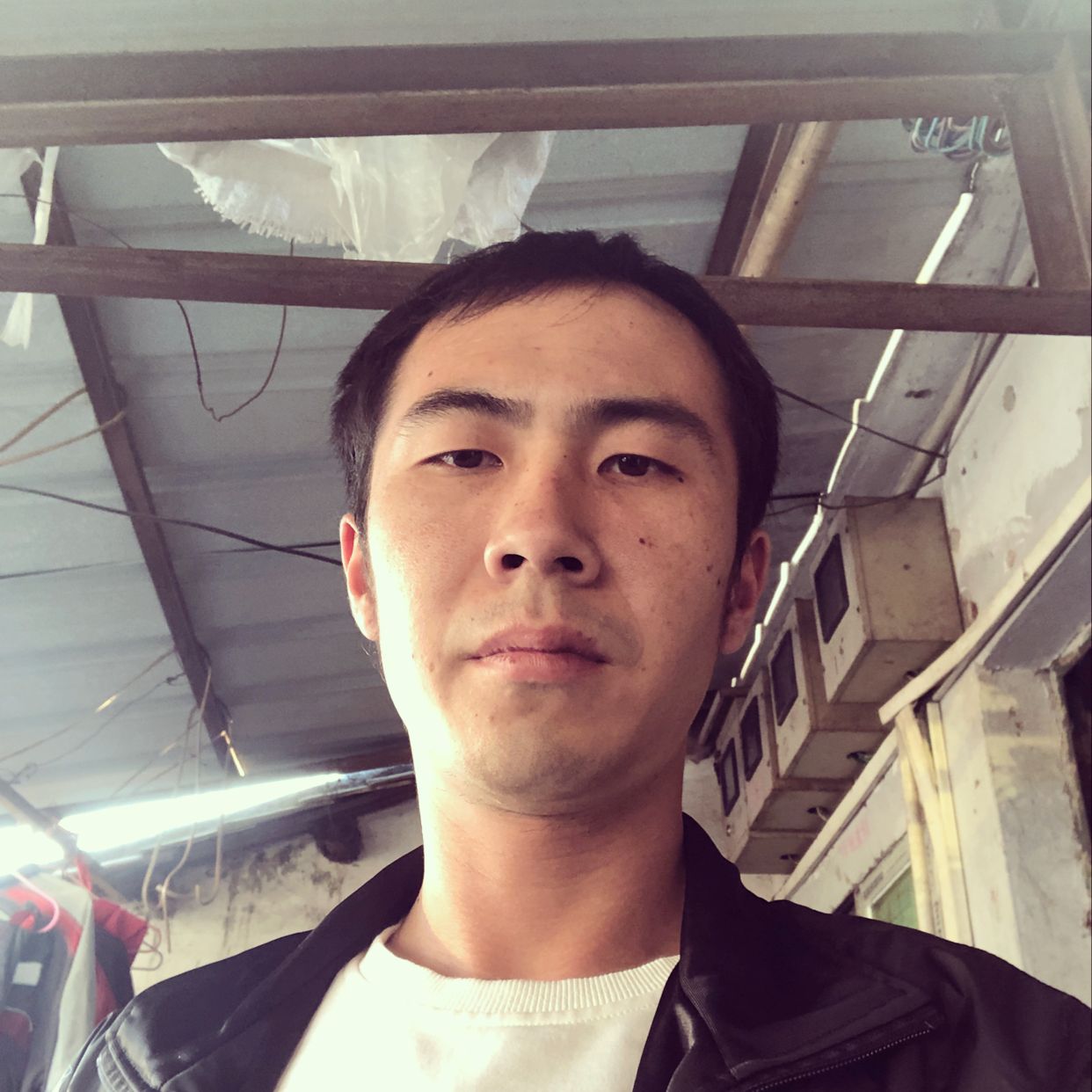 美好向如梦的照片