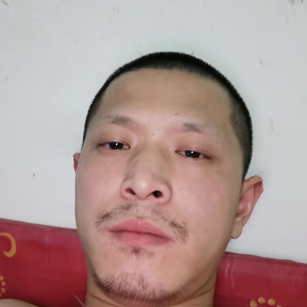 258369556的照片