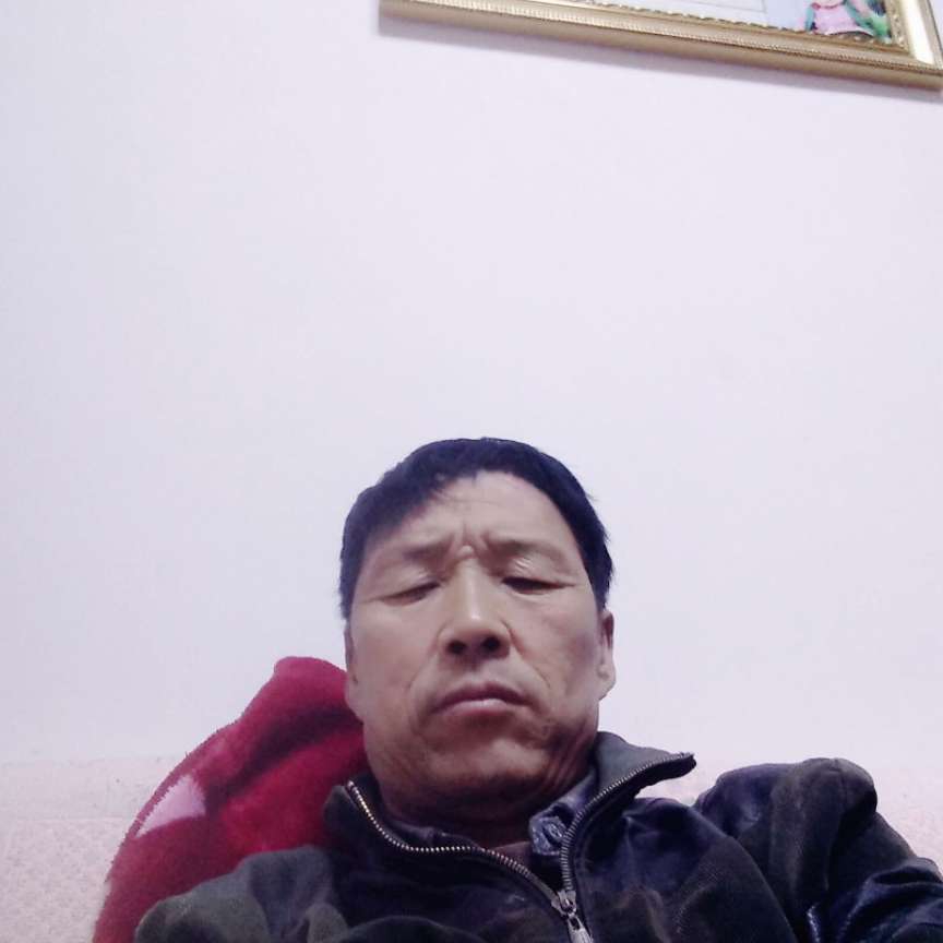 秀丽迎龙猫的照片