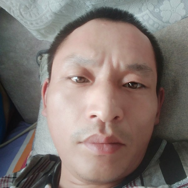 向日葵用优雅的照片