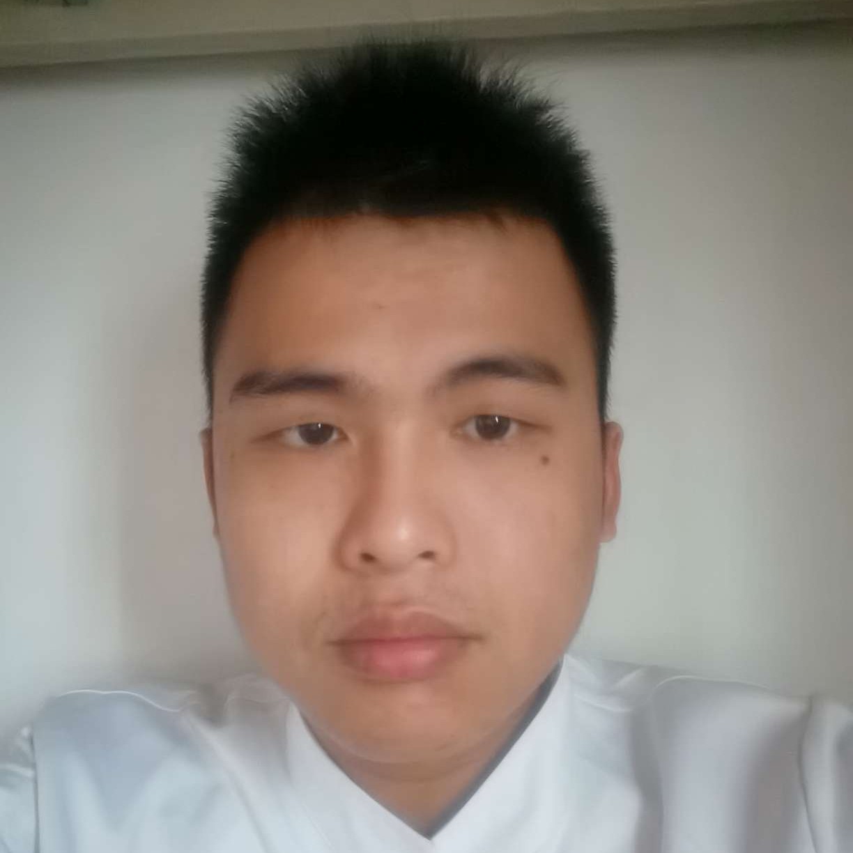 怕孤独泪了黄蜂的照片