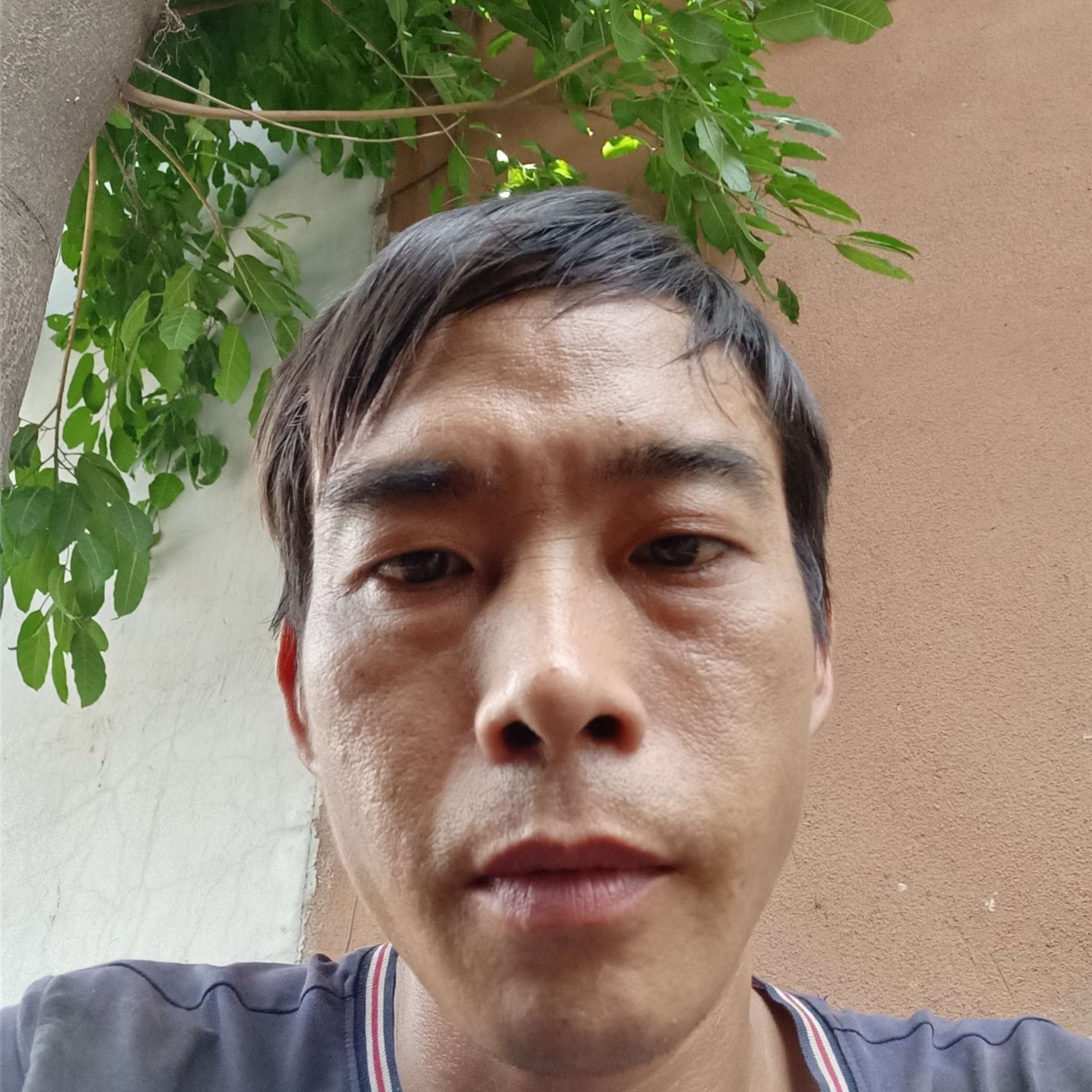 昨天不是的照片