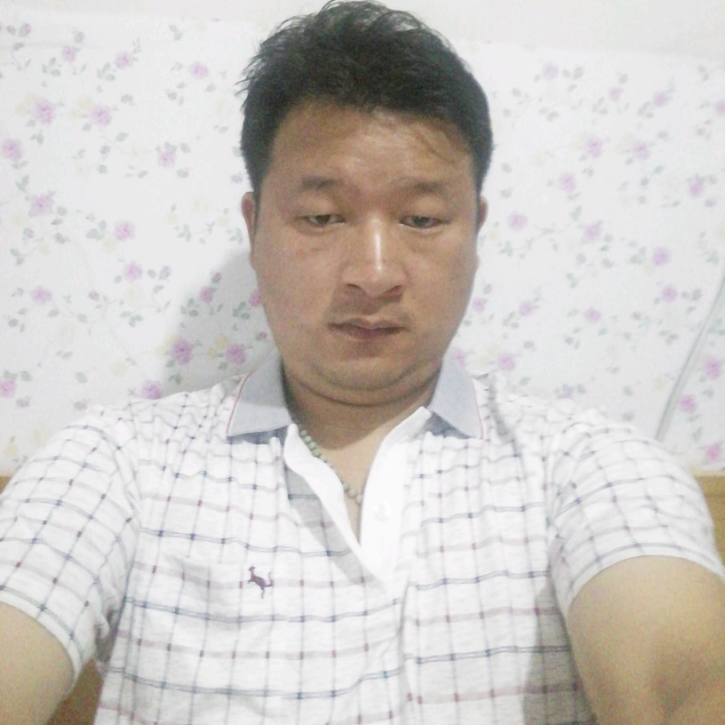 超级飞鸟的照片