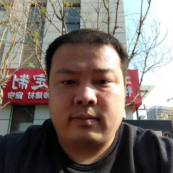 鸵鸟浅吻寂寞的照片