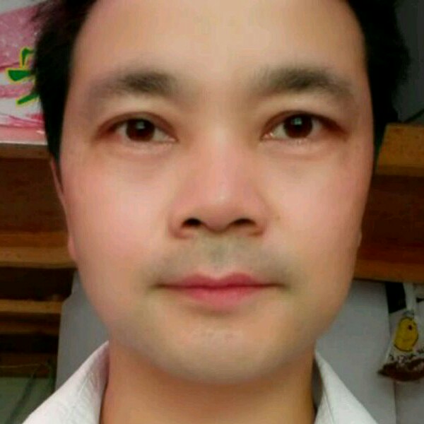 龙猫喜悦的照片