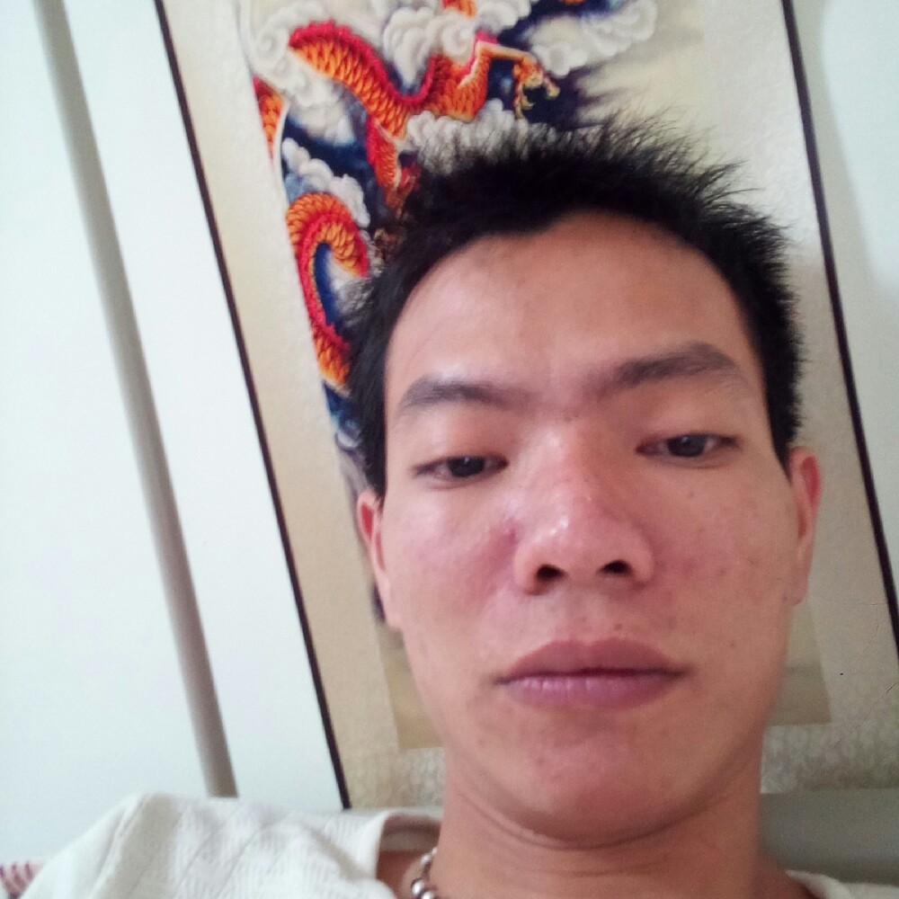 飛黄腾达的照片