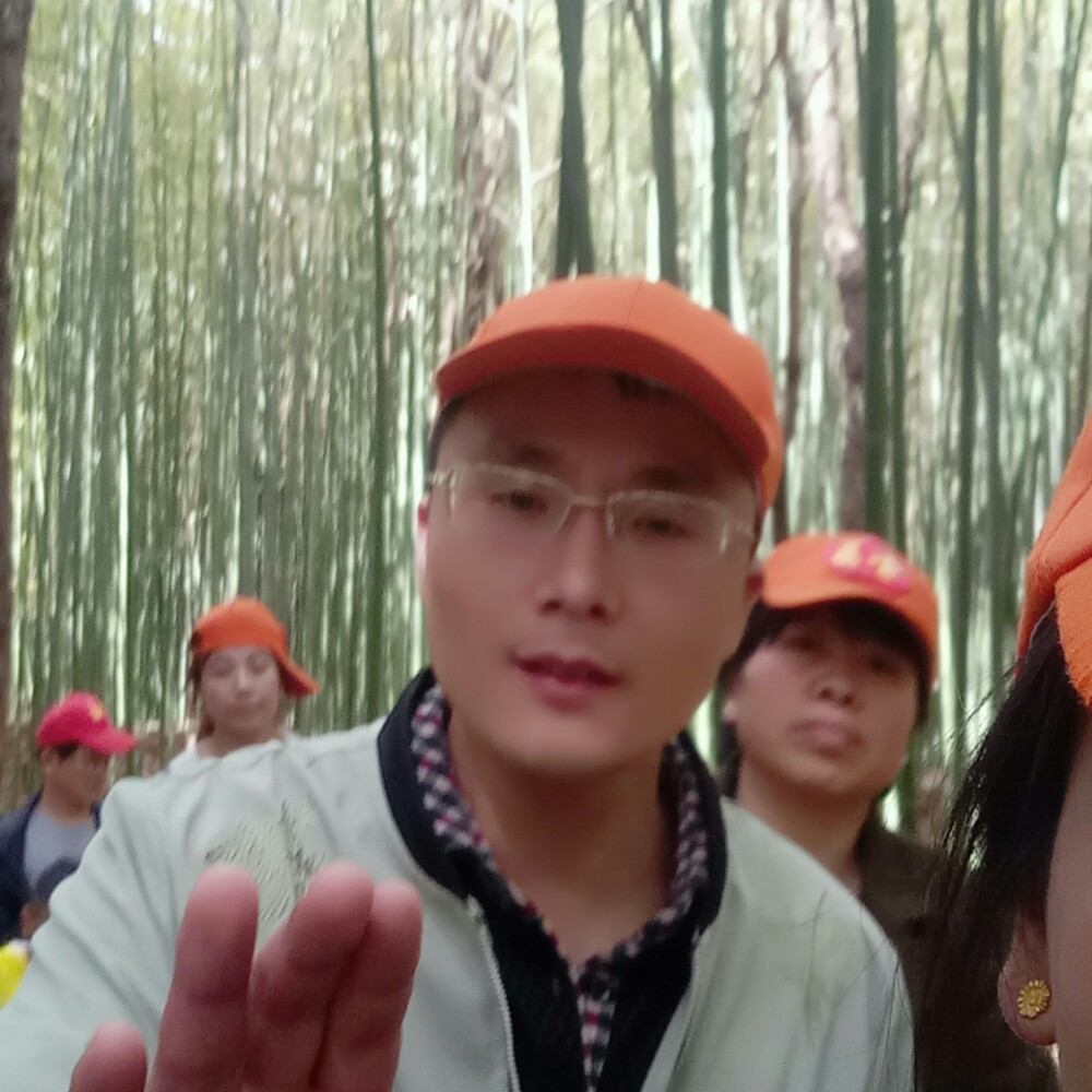 热狗阳光的照片