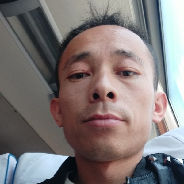 黄蜂淡然的照片