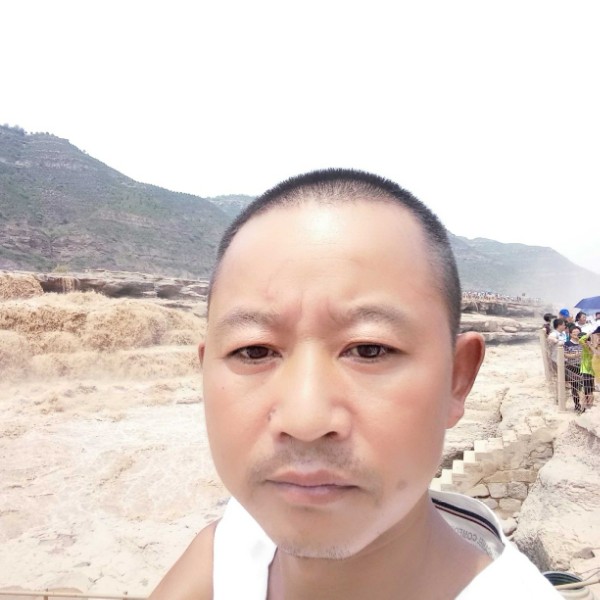 大树贪玩的照片