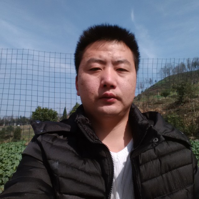 VV兔子的照片