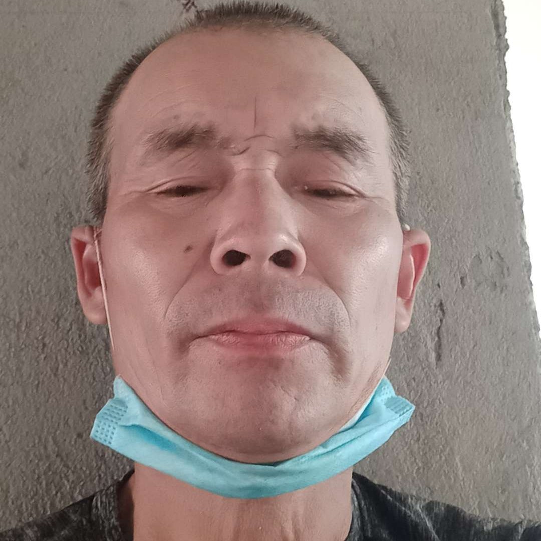 老鼠倾心彩色的照片