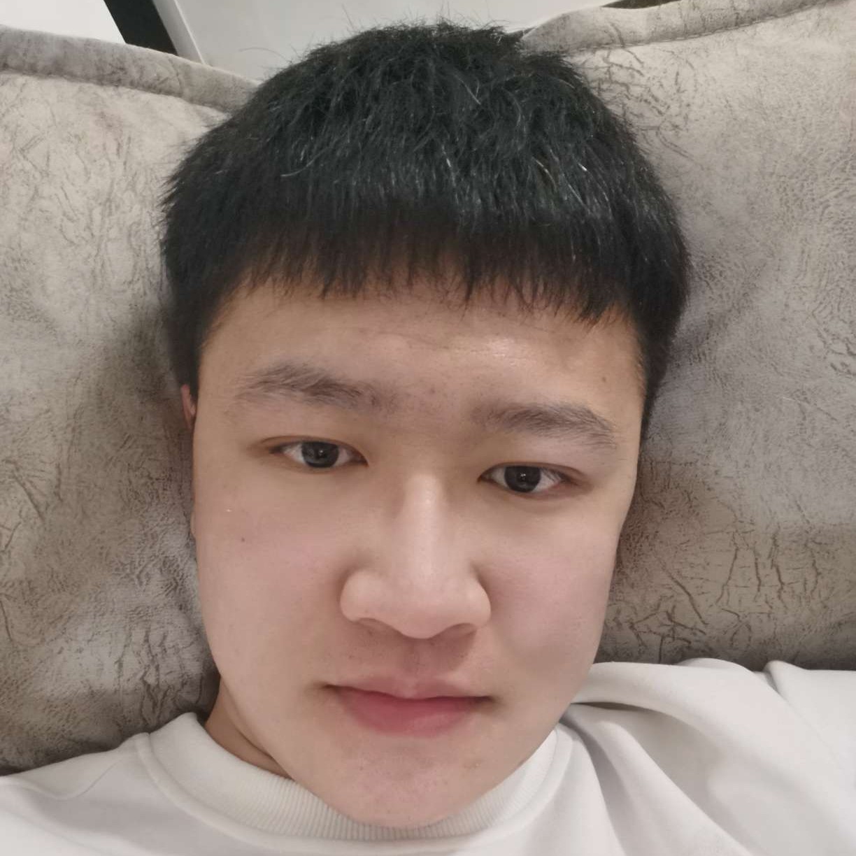 想不出昵称。的照片