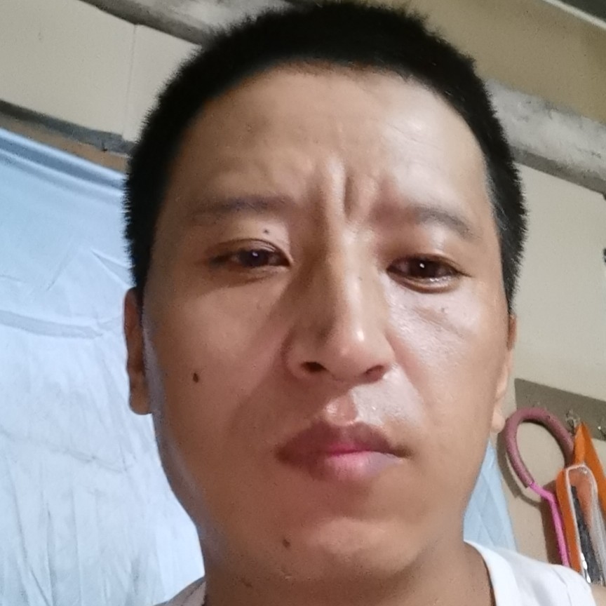 坦率多么泥猴桃的照片