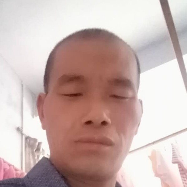 端庄眼神刘平平的照片